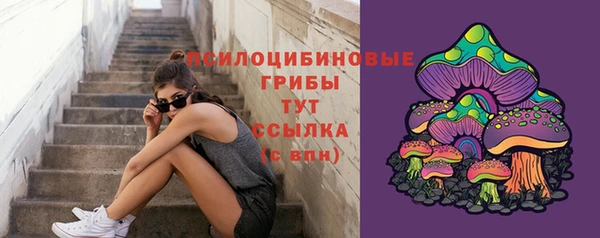 прущий лед Алексин
