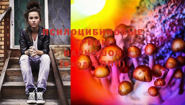 прущий лед Алексин