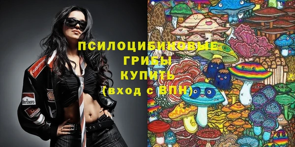 амфетамин Алексеевка