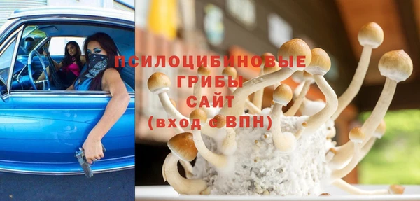 прущий лед Алексин